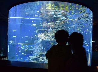 云服务vivo账号登录，vivo云服务如何登录（去抓住夏天的尾巴--WSM大魔王坡县纪行）