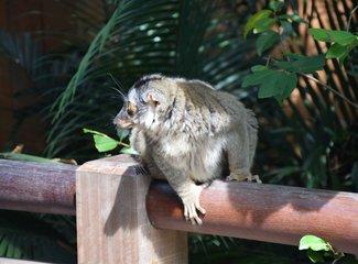 云服务vivo账号登录，vivo云服务如何登录（去抓住夏天的尾巴--WSM大魔王坡县纪行）