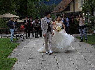 ovo是什么意思，备注ovo是什么意思（自驾中欧巴尔干12国）