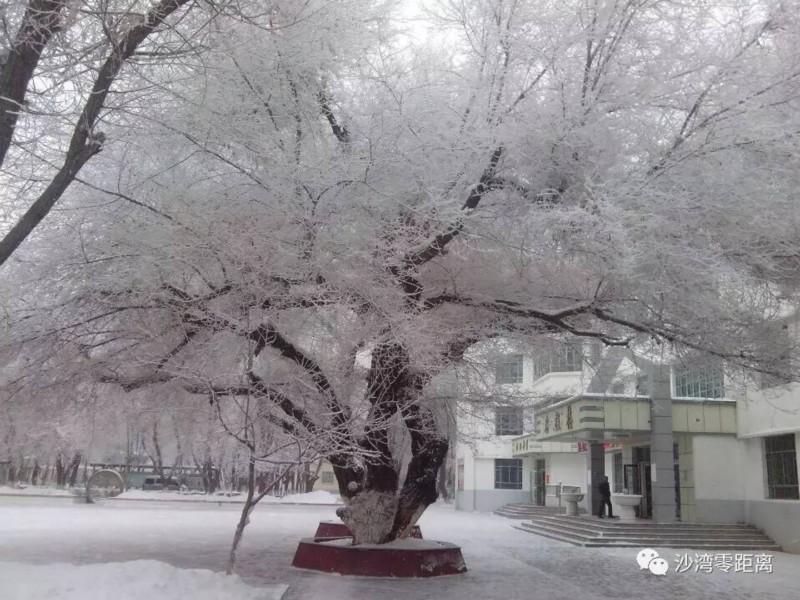 沙湾县属于哪个市，奎屯市和乌苏市哪个大（沙湾县：美食胜地）