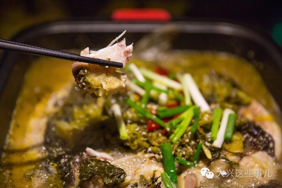 湄公鱼是什么鱼，湄公鱼是海鱼还是河鱼（半天妖又开一家新店）