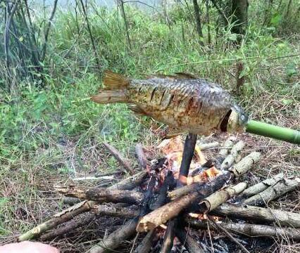 在野外烤鱼怎么烤，在野外烤鱼怎么烤好吃（我在老家农村池塘边就地取材）