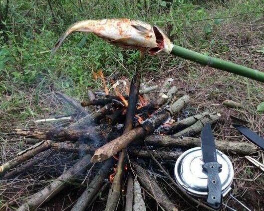 在野外烤鱼怎么烤，在野外烤鱼怎么烤好吃（我在老家农村池塘边就地取材）