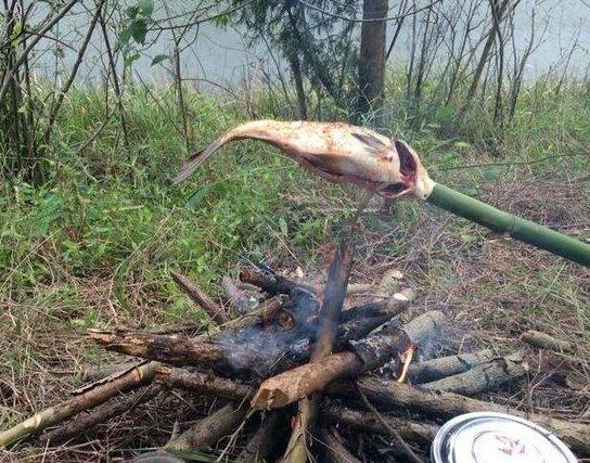 在野外烤鱼怎么烤，在野外烤鱼怎么烤好吃（我在老家农村池塘边就地取材）