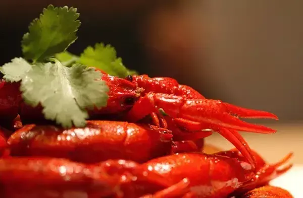 麻辣小龙虾是哪个地方的菜做的，正宗麻辣小龙虾的起源