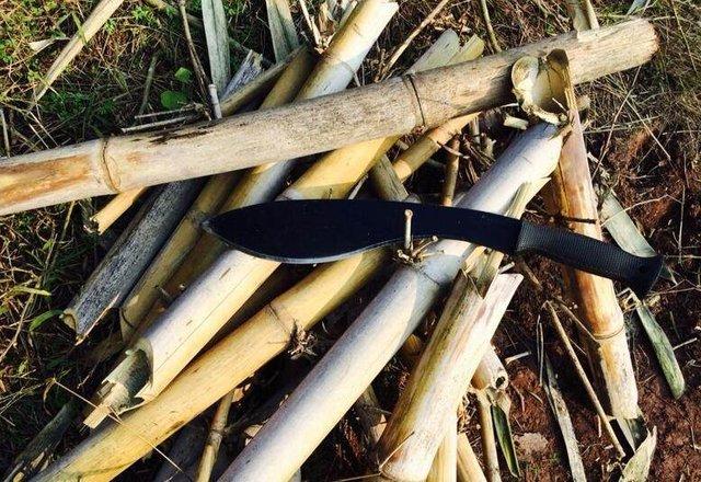 在野外烤鱼怎么烤，在野外烤鱼怎么烤好吃（我在老家农村池塘边就地取材）