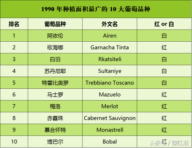葡萄有哪些品种，葡萄有什么品种（大葡萄品种，有）