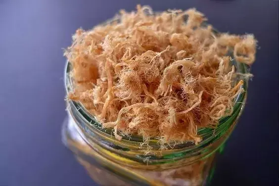 怎么鉴定肉松饼，肉松饼长什么样（好吃的肉松饼自己来做）