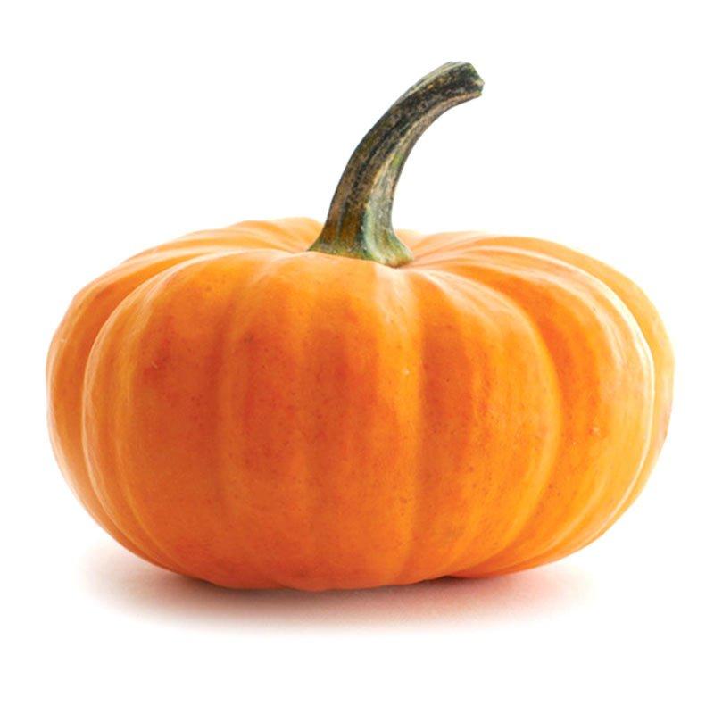 倭瓜是什么意思，倭瓜的意思（这“倭”字到底什么意思真是矮小）