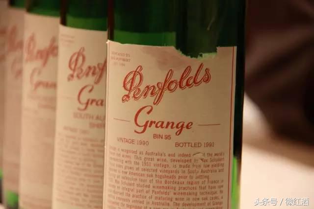 葡萄有哪些品种，葡萄有什么品种（大葡萄品种，有）