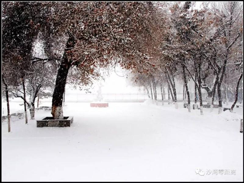 沙湾县属于哪个市，奎屯市和乌苏市哪个大（沙湾县：美食胜地）
