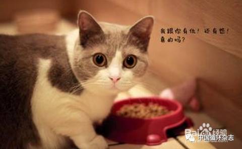 健康心语，健康心语书籍（2017年十大健康心语）