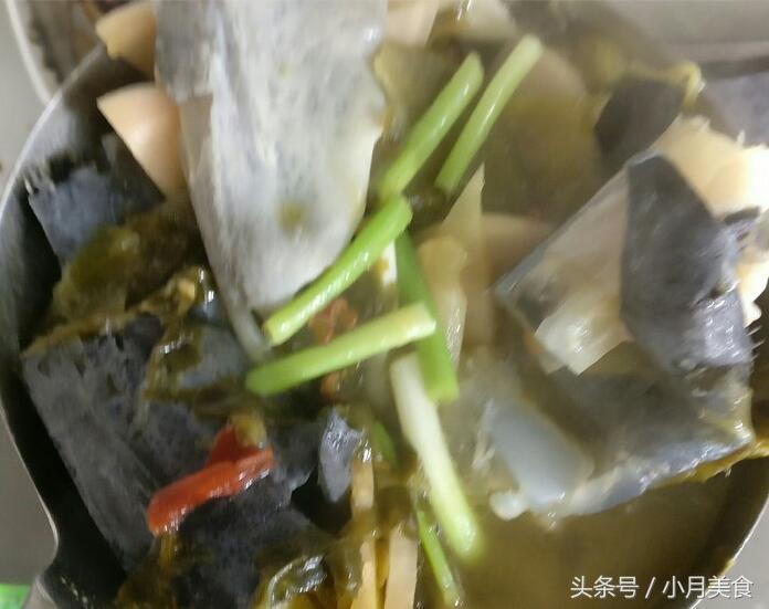 鸭嘴鱼吃什么食物，鸭嘴鱼爱吃什么（中午老爸的拿手好菜----鸭嘴鱼）