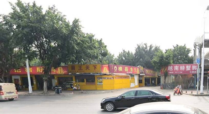 红姨为什么不能搜，红姨为什么不能搜,白蛇传（全部去吃过的算你牛）