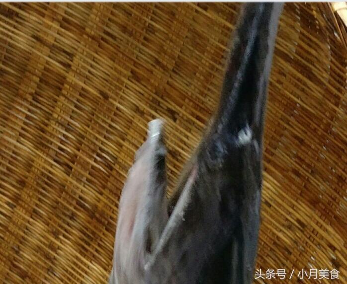 鸭嘴鱼吃什么食物，鸭嘴鱼爱吃什么（中午老爸的拿手好菜----鸭嘴鱼）