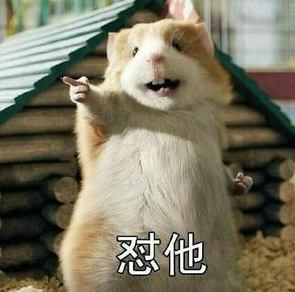 老鼠存花生被发现，鲜花生能冷冻保存吗（老鼠存了一年的花生就这样被没收了）