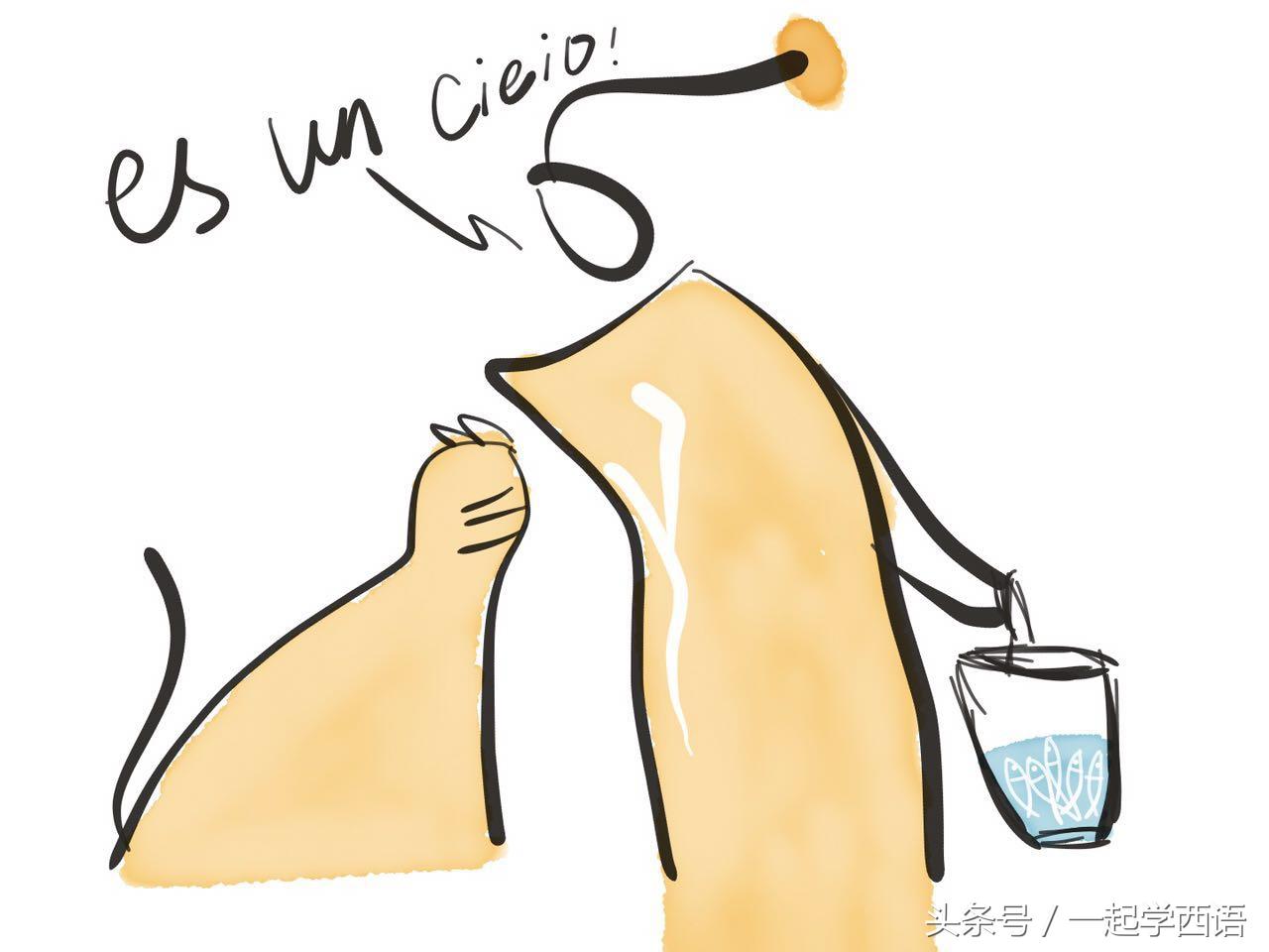 什么是榆木地板，榆木地板价格一平米多少钱（如何用西语说“你真可爱”）