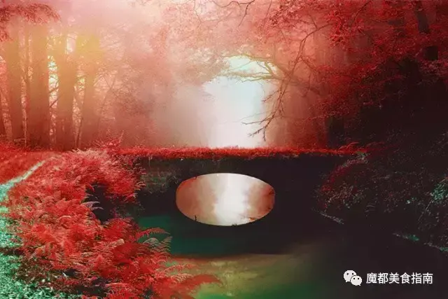 饕餮大餐的意思，饕餮大餐是什么意思啊（这些已经是被用烂的形容美食的词语）