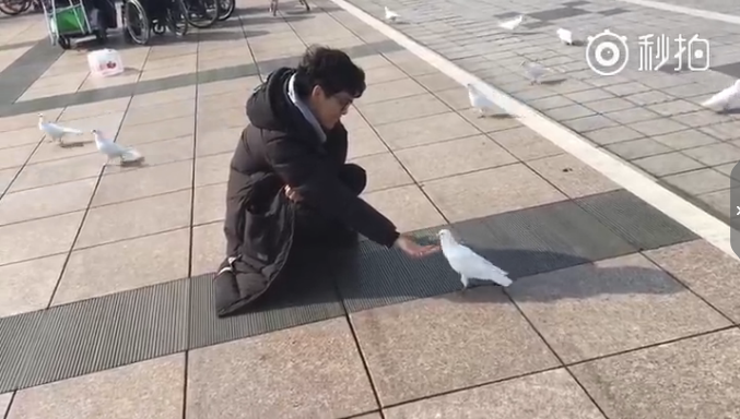 养精蓄锐造句，养精蓄锐造句30字（棋坛“梁朝伟”过的这才叫生活）