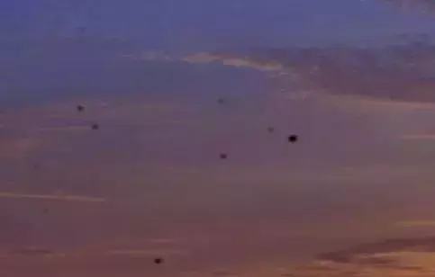 nikon是什么牌子，尼康是哪国的品牌（其在镜片上的百年造诣值得尊敬）