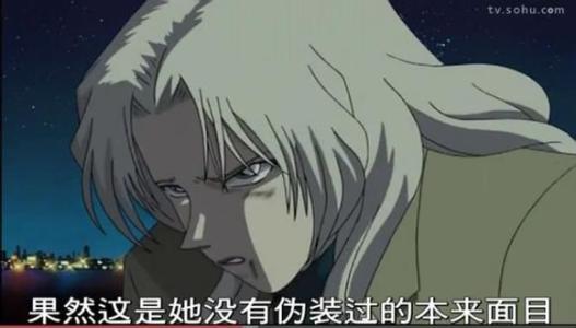 工藤新一的纽约事件，工藤新一纽约事件集数（曾被工藤新一救过一命）