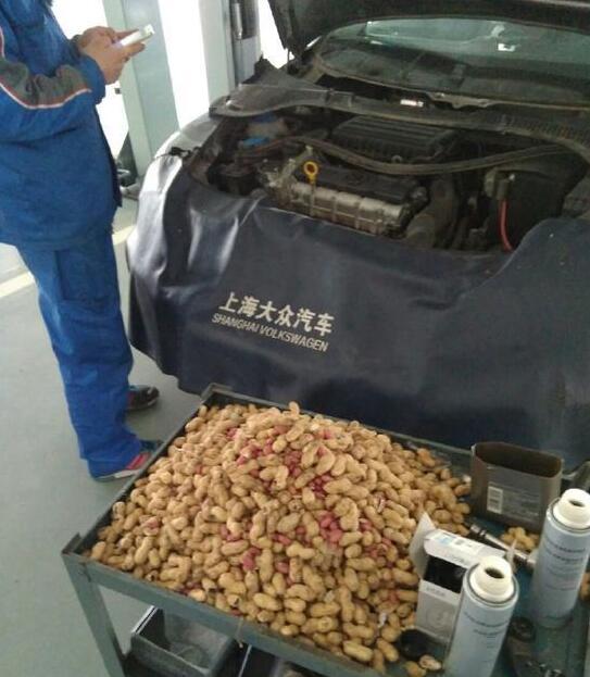 老鼠存花生被发现，鲜花生能冷冻保存吗（老鼠存了一年的花生就这样被没收了）