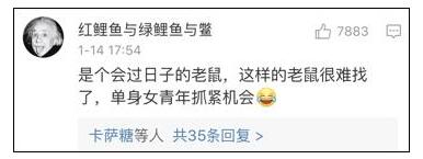 老鼠存花生被发现，鲜花生能冷冻保存吗（老鼠存了一年的花生就这样被没收了）