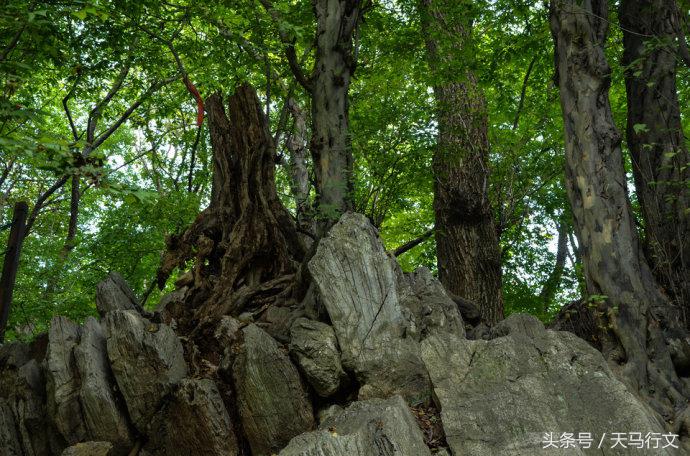 醉翁亭在什么地方，醉翁亭是在哪里的（“天下第一亭” ---醉翁亭）