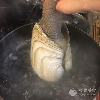 河蚌清理步骤图解视频教程，河蚌清理步骤图解 禁忌（象拔蚌刺身<附处理全过程>）