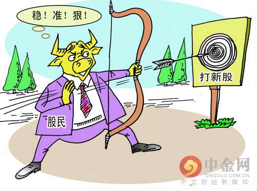 新股申购技巧，如何申购新股步骤（股票入门：新股怎样申购）