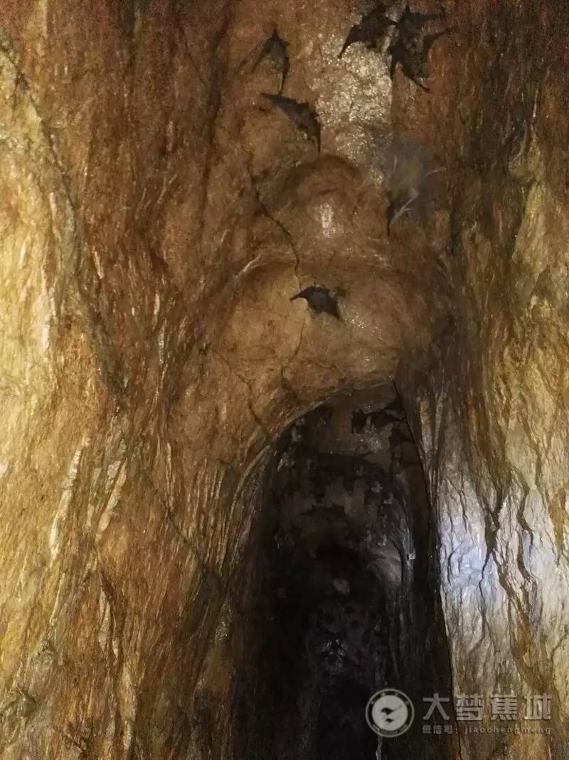 求闻之若此中若的含义，求闻之若此中若的含义是（竟留存着中国最早的水利遗迹）