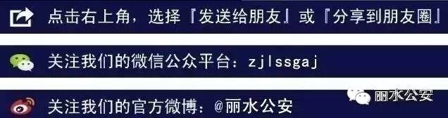 丽水有小狗卖丽水那里有大土狗卖（如何选择适合自己的狗狗品种）