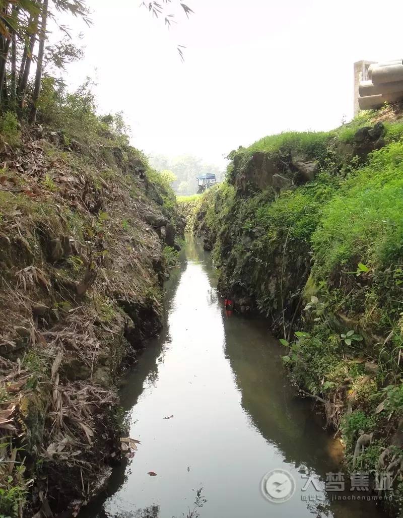 求闻之若此中若的含义，求闻之若此中若的含义是（竟留存着中国最早的水利遗迹）