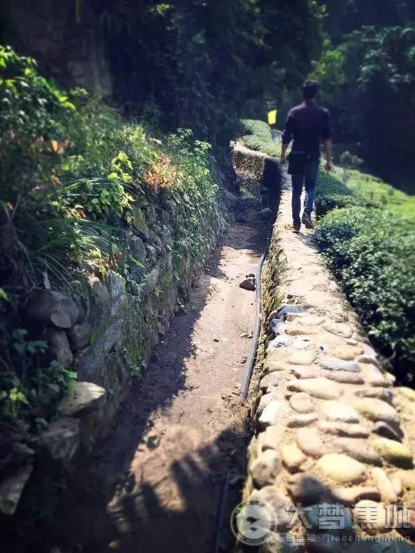 求闻之若此中若的含义，求闻之若此中若的含义是（竟留存着中国最早的水利遗迹）