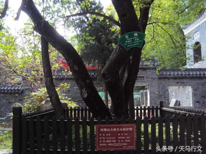 醉翁亭在什么地方，醉翁亭是在哪里的（“天下第一亭” ---醉翁亭）