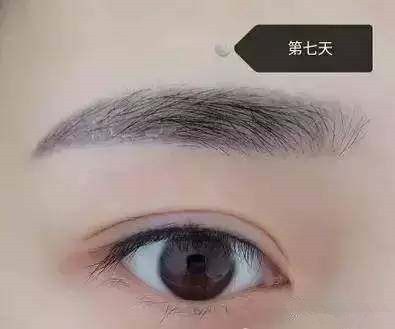 纹眉一到七天恢复图片,纹眉后的恢复图片(纹眉后恢复过程!不要惊慌)