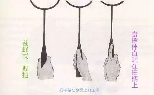 羽毛球握拍姿势图解法，羽毛球握拍姿势图解（这是一篇羽毛球握拍技术图解）