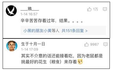 老鼠存花生被发现，鲜花生能冷冻保存吗（老鼠存了一年的花生就这样被没收了）