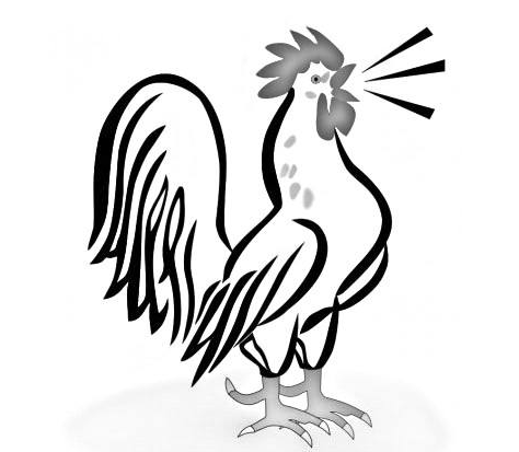 怎样画简笔画大公鸡，大公鸡怎么画简笔画图片（漫画教学：大公鸡的简笔画）