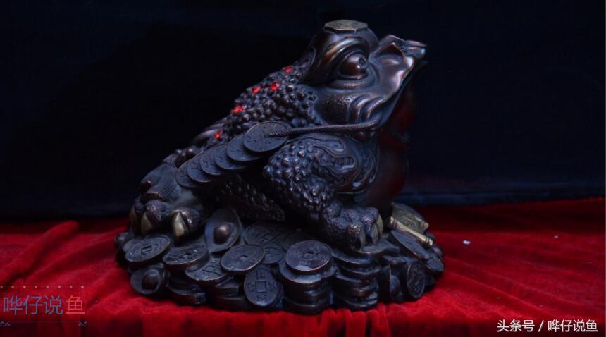 养什么鱼招财转运，七种常见招财吉祥物，你有几样