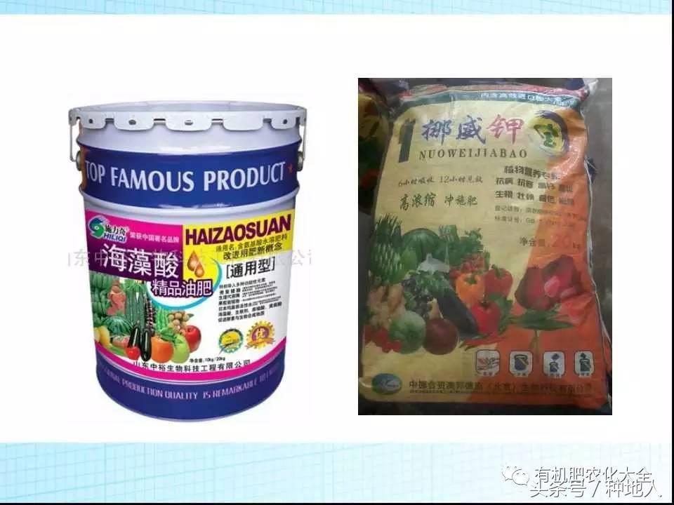 冲三小是什么意思，台湾话冲三小是什么意思（你知道水溶肥与冲施肥的区别是什么吗）