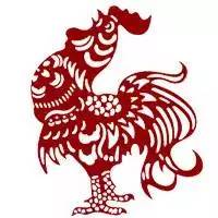 苏州快递是不是停运了，苏州快递停运了吗（快递即将停运 该剁的手赶紧剁）