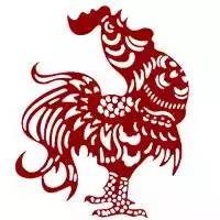 苏州快递是不是停运了，苏州快递停运了吗（快递即将停运 该剁的手赶紧剁）