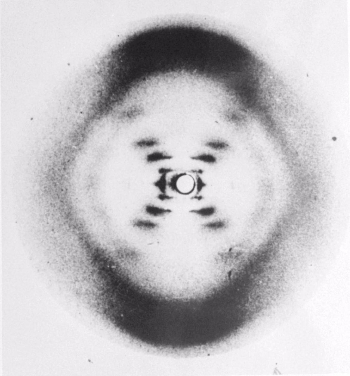 dna双螺旋结构的发现故事，却差点因为一本书跟亲密战友闹掰