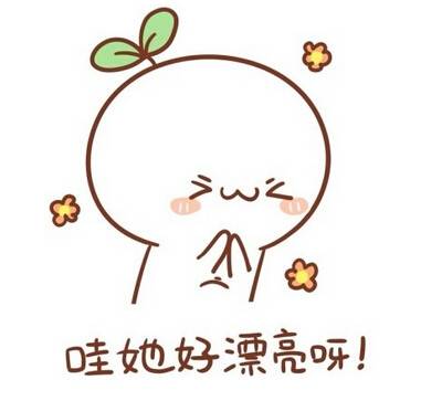 二次元和宅文化，二次元的“萌、腐、宅”