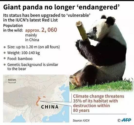 大熊猫是几级保护动物，大熊猫降级为二级还是国宝吗（你知道中国做了多少保护工作吗）