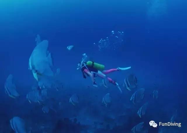 潜水镜如何挑选，潜水镜如何挑选好的（如何选择一只可靠的潜水表）