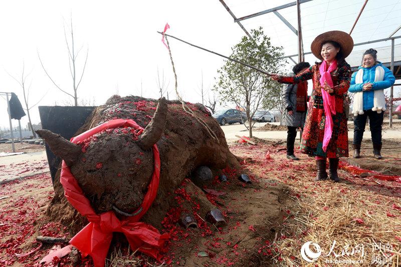 打春牛是什么风俗呢 立春习俗中的打春牛是什么意思，打春牛是什么风俗呢（河南乡村立春现“鞭打春牛”习俗场面热烈）