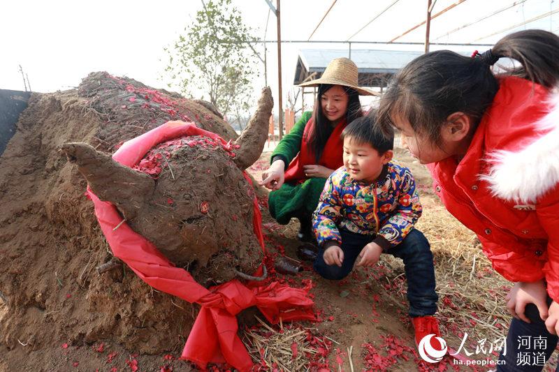 打春牛是什么风俗呢 立春习俗中的打春牛是什么意思，打春牛是什么风俗呢（河南乡村立春现“鞭打春牛”习俗场面热烈）