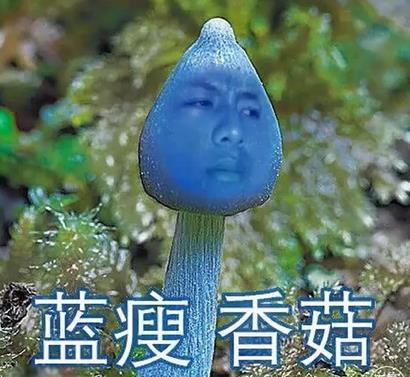 有苦难言什么意思，有苦难言还是有口难言（这14个热词你明白其含义吗）